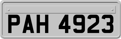 PAH4923