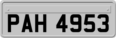 PAH4953