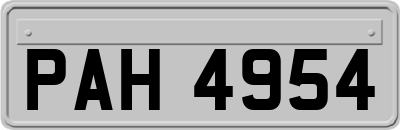 PAH4954