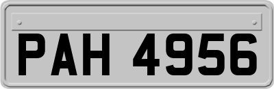 PAH4956