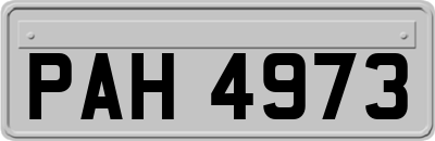 PAH4973
