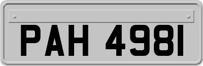 PAH4981