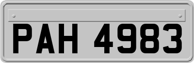 PAH4983