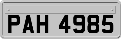 PAH4985