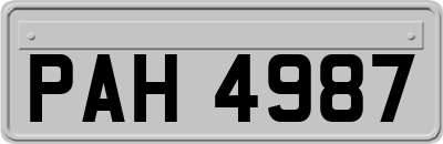 PAH4987