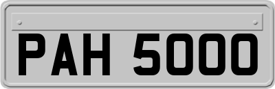 PAH5000