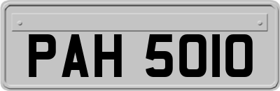 PAH5010