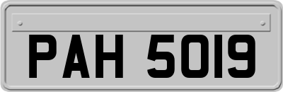 PAH5019