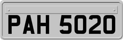 PAH5020