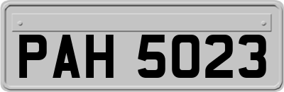 PAH5023