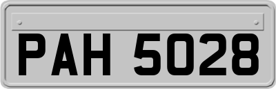 PAH5028
