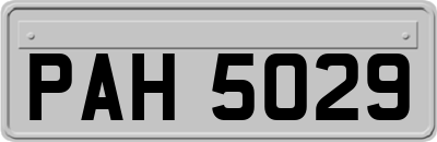 PAH5029