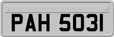 PAH5031