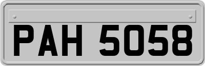 PAH5058