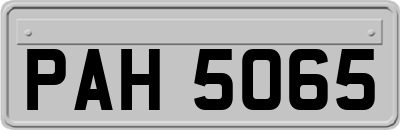 PAH5065