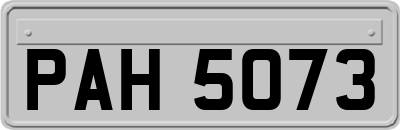 PAH5073