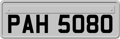 PAH5080