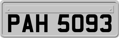 PAH5093