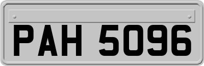 PAH5096