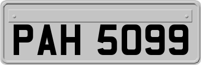 PAH5099