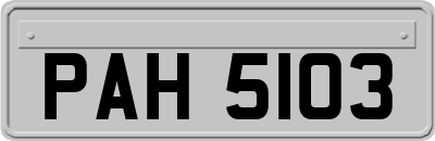 PAH5103