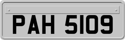 PAH5109