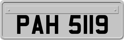 PAH5119