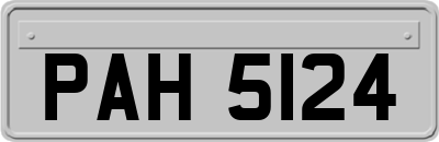 PAH5124