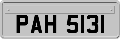 PAH5131