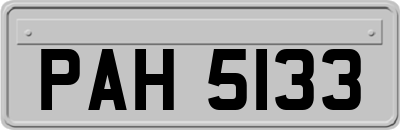 PAH5133