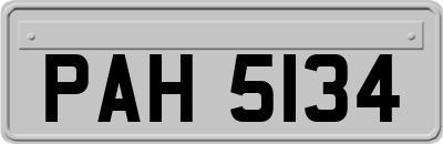 PAH5134