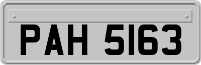 PAH5163