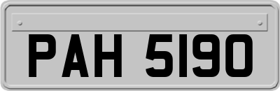 PAH5190