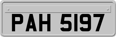 PAH5197