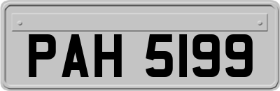 PAH5199
