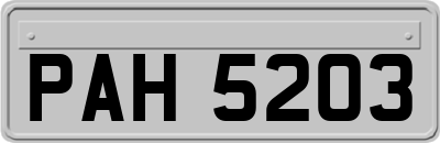 PAH5203