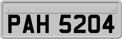 PAH5204