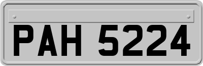 PAH5224