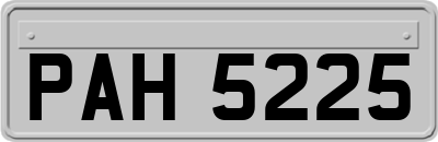 PAH5225