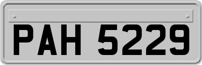 PAH5229