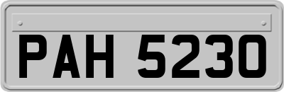 PAH5230