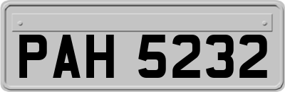 PAH5232