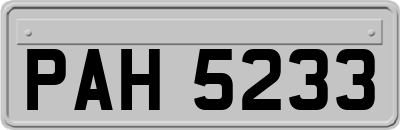 PAH5233