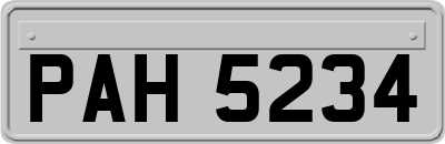 PAH5234