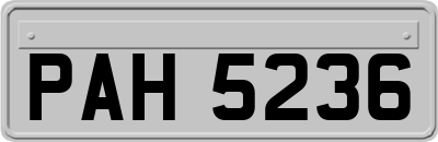 PAH5236