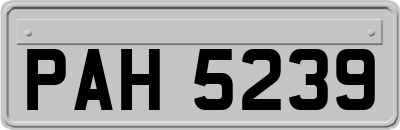 PAH5239