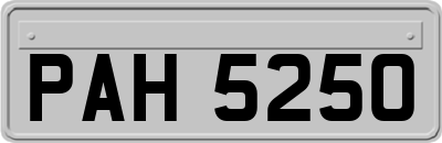 PAH5250