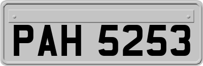 PAH5253