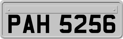 PAH5256