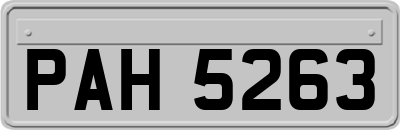PAH5263